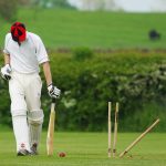 Cricket