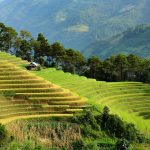 Asia scholarships