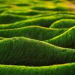 Market Volatility Spike: 5 Key Strategies to Navigate Uncertain Trading Days