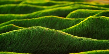 Market Volatility Spike: 5 Key Strategies to Navigate Uncertain Trading Days